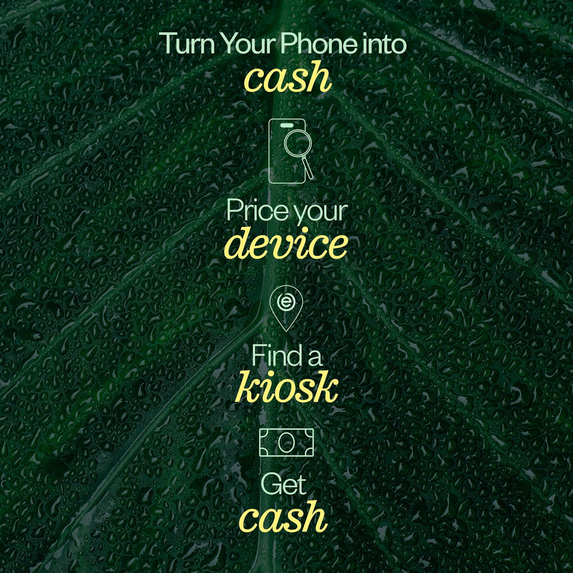 Desktop Banner